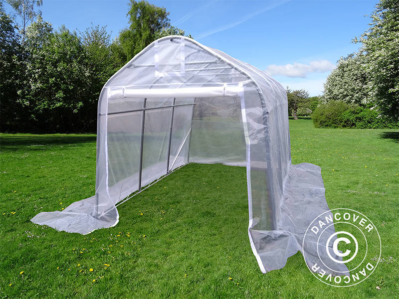 Tunel foliowy, 2x3x2m, PE, 6m², Przezroczysty - Image 4