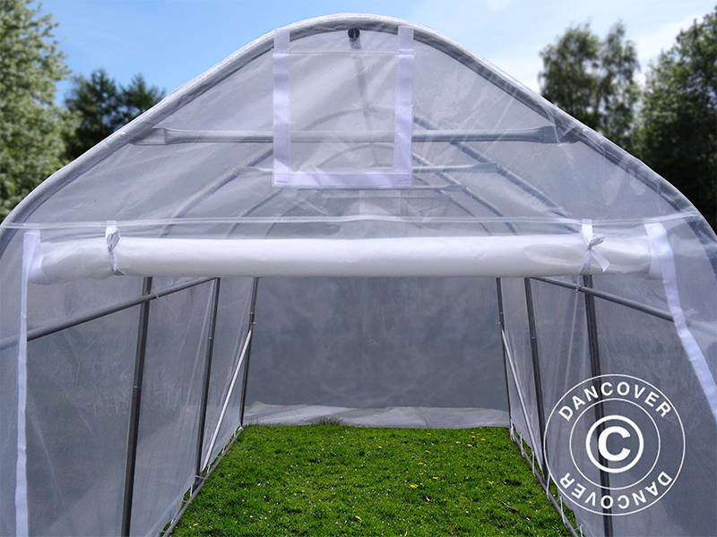 Tunel foliowy, 2x3x2m, PE, 6m², Przezroczysty - Image 5