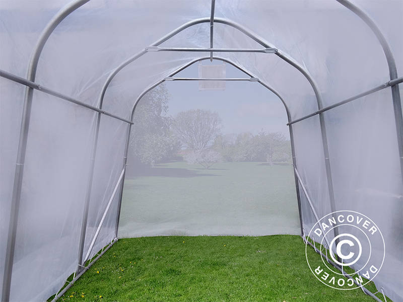 Tunel foliowy, 2x3x2m, PE, 6m², Przezroczysty - Image 6