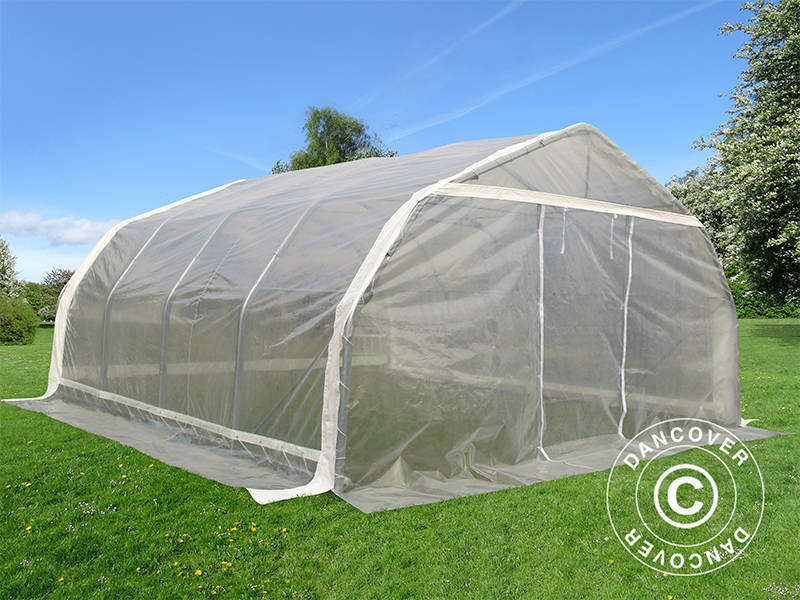 Tunel foliowy, 5,4x6x2,9m, PE, 32,4m², Przezroczysty - Image 3