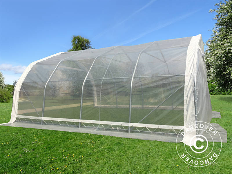 Tunel foliowy, 5,4x6x2,9m, PE, 32,4m², Przezroczysty - Image 5