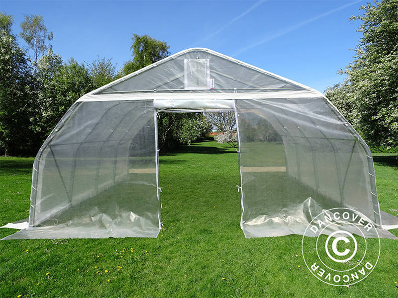 Tunel foliowy, 5,4x6x2,9m, PE, 32,4m², Przezroczysty - Image 6