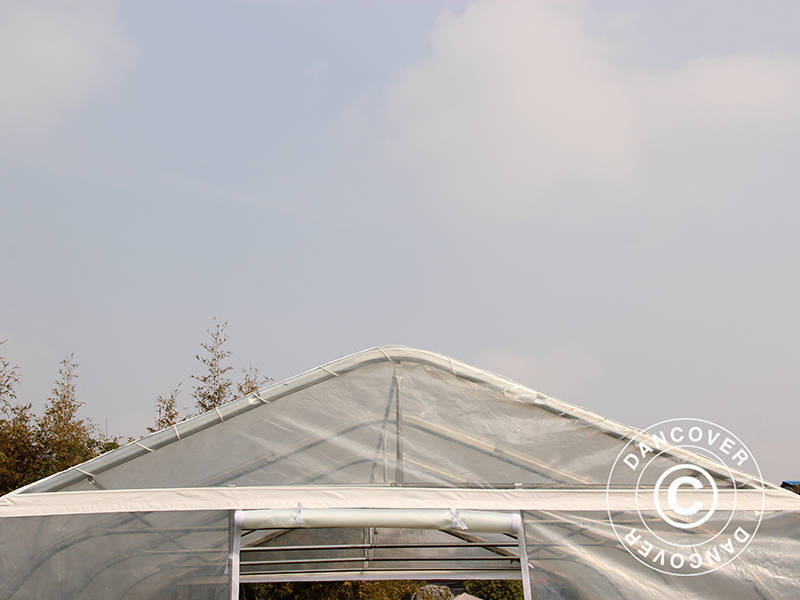 Tunel foliowy, 5,4x6x2,9m, PE, 32,4m², Przezroczysty - Image 9